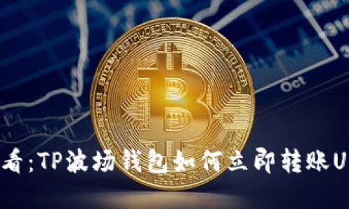 2025必看：TP波场钱包如何立即转账USDT详解