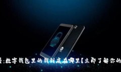2025必看：数字钱包里的钱到底在哪里