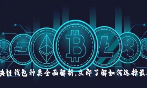 2025必看:区块链钱包种类全面解析,立即了解如何选择最适合你的钱包!