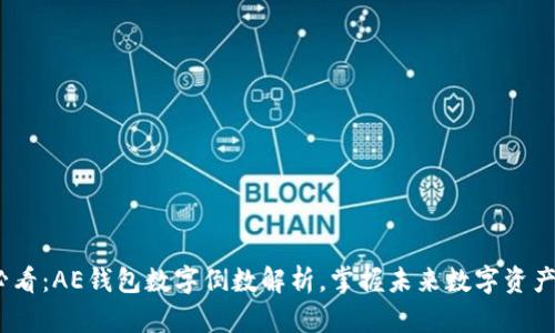 2025必看:AE钱包数字倒数解析,掌握未来数字资产的策略