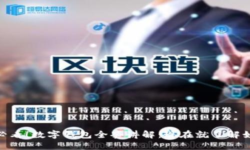 bibnot/bibnot2025必看！数字钱包全套讲解：现在就了解如何管理你的数字资产
