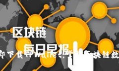 大神教你如何立即下载TPWallet，掌握区