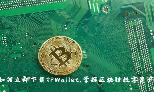 大神教你如何立即下载TPWallet，掌握区块链数字资产管理利器！