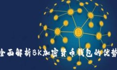 2025必看：全面解析BK加密货币钱包的优