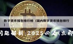 数字钱包转账问题解析：2025必看！立
