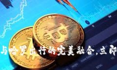 2025必看：数字钱包与哈罗出行的完美