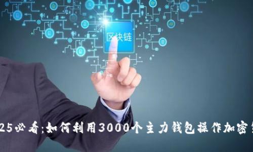 2025必看：如何利用3000个主力钱包操作加密货币
