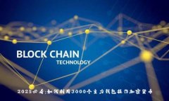 2025必看：如何利用3000个主力钱包操作