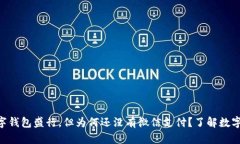: 2025必看！数字钱包盛行，但为何还没