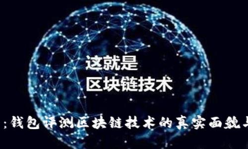 2025必看:钱包评测区块链技术的真实面貌与未来展望