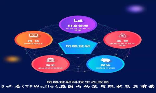 2025必看！TPWallet在国内的使用现状及其前景分析