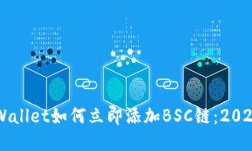 电脑版TPWallet如何立即添加BSC链：2025必看指南
