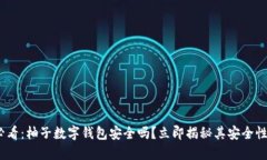 2025必看：柚子数字钱包安全吗？立即