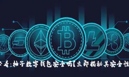 2025必看:柚子数字钱包安全吗?立即揭秘其安全性与风险