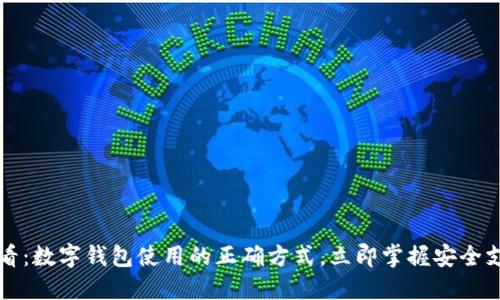 2025必看：数字钱包使用的正确方式，立即掌握安全支付技巧!