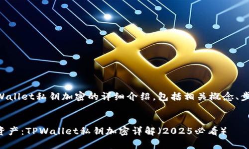 下面是关于TPWallet私钥加密的详细介绍，包括相关概念、步骤和注意事项。


立即保护你的资产：TPWallet私钥加密详解（2025必看）