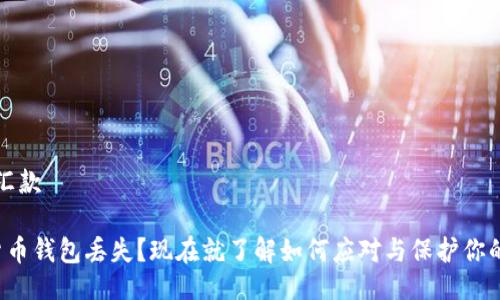 汇款/汇款 

数字货币钱包丢失？现在就了解如何应对与保护你的资产！