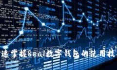 2025必看：迅速掌握Real数字钱包的使用