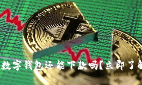 2025必看:数字钱包还能下款吗?立即了解未来趋势!