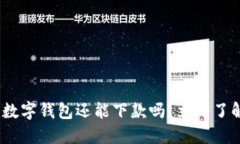 2025必看：数字钱包还能下款吗？立即