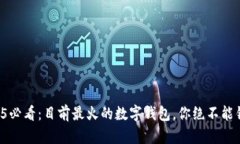 2025必看：目前最火的数字钱包，你绝