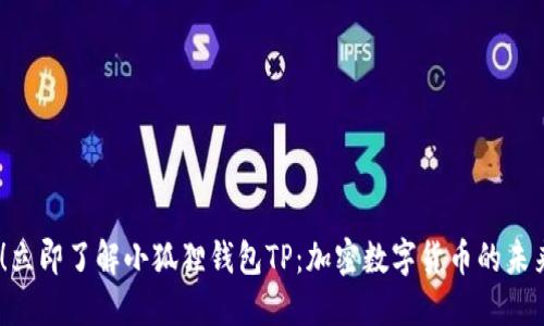 2025必看!立即了解小狐狸钱包TP:加密数字货币的未来投资之道
