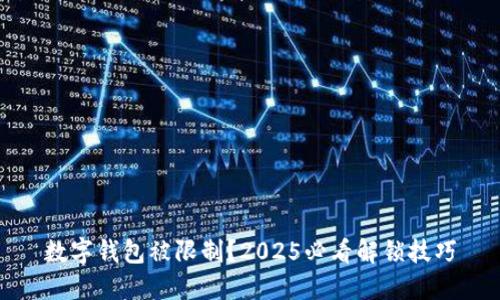 数字钱包被限制?2025必看解锁技巧