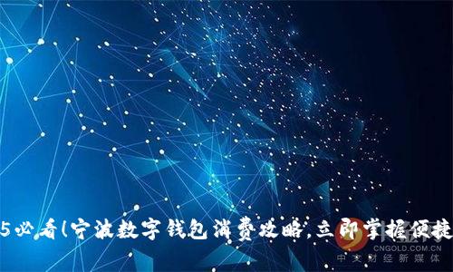 2025必看!宁波数字钱包消费攻略,立即掌握便捷生活