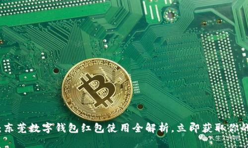 2025必看:东莞数字钱包红包使用全解析,立即获取你的红包福利!