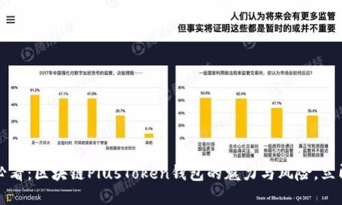 2025必看:区块链PlusToken钱包的魅力与风险,立即了解!