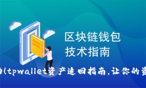 ilia立即行动!tpwallet资产追回指南,让你的资产安全无忧