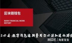 2025必看：数字钱包逾期费用你必须知