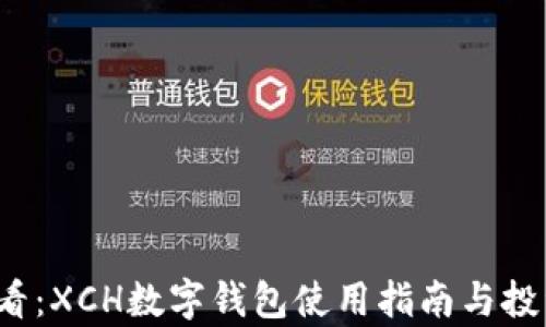 2023年必看:XCH数字钱包使用指南与投资前景分析