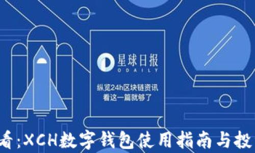 2023年必看:XCH数字钱包使用指南与投资前景分析