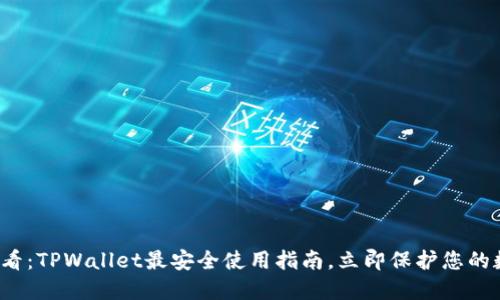2025必看:TPWallet最安全使用指南,立即保护您的数字资产