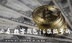 2025必看：数字钱包16位编号的全解析