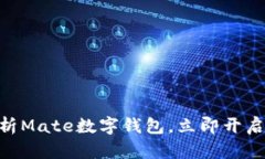 2025必看：全面解析Mate数字钱包，立即