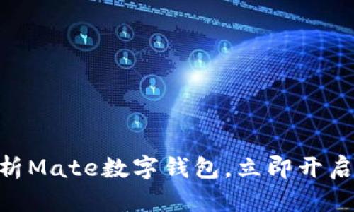2025必看:全面解析Mate数字钱包,立即开启你的数字金融之旅