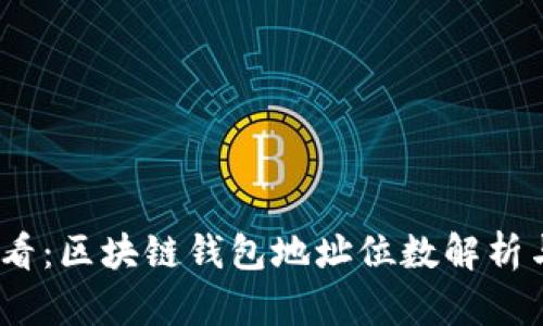 : 2025必看:区块链钱包地址位数解析与选择技巧