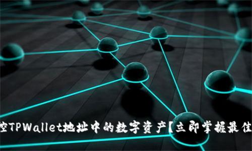 如何实时监控TPWallet地址中的数字资产?立即掌握最佳工具和技巧!