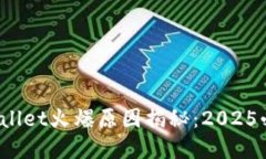tpwallet火爆原因揭秘：2025必看！