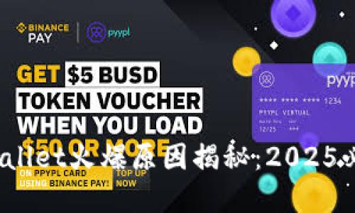 tpwallet火爆原因揭秘:2025必看!