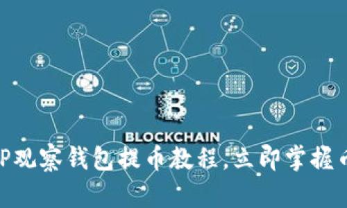 2025必看!TP观察钱包提币教程,立即掌握币圈操作技巧