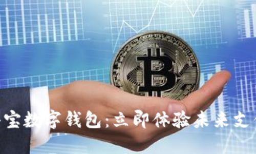 2025必看!麦小宝数字钱包:立即体验未来支付的便捷与安全