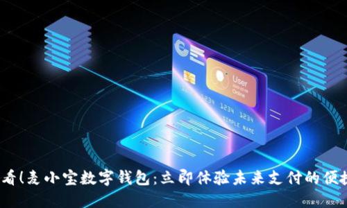2025必看!麦小宝数字钱包:立即体验未来支付的便捷与安全