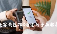 2025必看：数字钱包TRC通道的全面解析