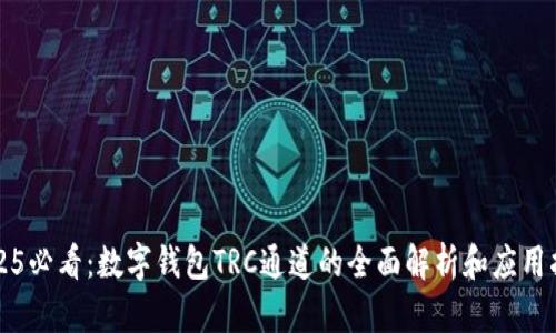 2025必看:数字钱包TRC通道的全面解析和应用指南