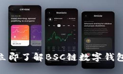 2025必看:立即了解BSC链数字钱包的全面指南