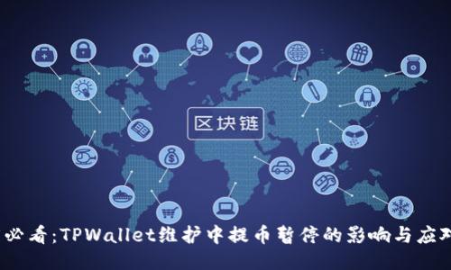 2025必看:TPWallet维护中提币暂停的影响与应对策略