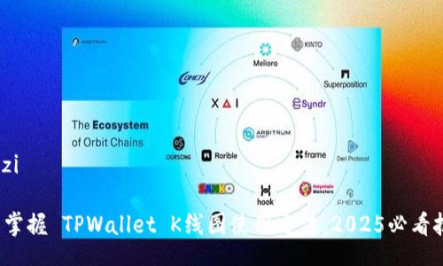 wenzi
立即掌握 TPWallet K线图使用方法,2025必看技巧!